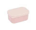 Bento bugs