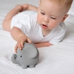 tk96007-animales-safari-elefante-4