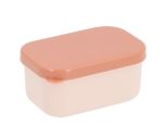 Copy of Caja Bento VAC 2025_73