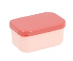 Copy of Caja Bento VAC 2025_77