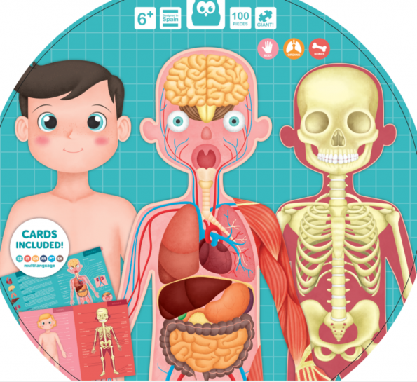 Puzzle gigante del cuerpo humano de 100 piezas