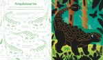 libro rasca rasca dinosaurios infantil