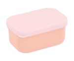 Mouse_Fairies_Bento_1